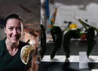 NASA: Φύτεψε πιπεριές τσίλι στο Διάστημα