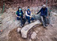 Βραζιλία: Ανακαλύφθηκε ένα νέο είδος πολύ σπάνιου δεινοσαύρου