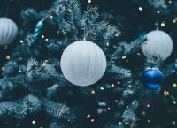 Χαλκιδική: Το πρώτο χριστουγεννιάτικο δέντρο που φωταγωγήθηκε