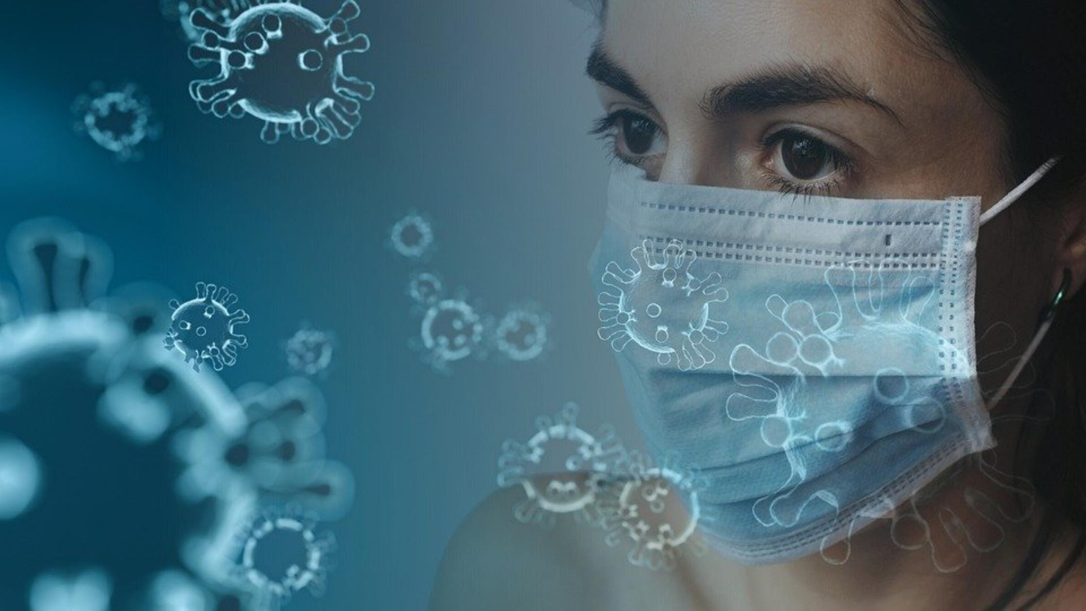 Πανδημία: Πόσα εκατομμύρια χρόνια ζωής χάθηκαν