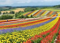 National Geographic: Τα 25 μέρη που μας προτείνει να επισκεφθούμε το 2022