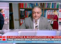 Βασιλακόπουλος: Με έπιασαν από τον λαιμό και με πέταξαν κάτω