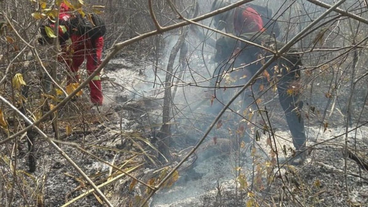 Βολιβία: Πυρκαγιές απανθράκωσαν 36 εκατ. στρέμματα δάσους και καλλιεργειών