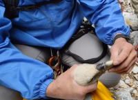 Ηράκλειο: Η διάσωση τραυματισμένου γύπα που είχε εγκλωβιστεί σε φαράγγι