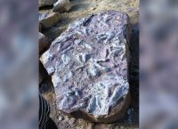 Πολωνία: Εκατοντάδες απολιθωμένα ίχνη δεινοσαύρων ανακαλύφθηκαν από γεωλόγους Πολωνία: Εκατοντάδες απολιθωμένα ίχνη δεινοσαύρων ανακαλύφθηκαν από γεωλόγους