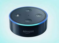 H Alexa προέτρεψε δεκάχρονη να βάλει κέρμα στην πρίζα