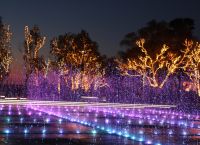 Ελληνικό: Άνοιξε τις πόρτες του το Experience Park με θετικά σχόλια από το κοινό