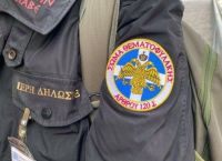 Θεματοφύλακες του Συντάγματος: Υπέγραψαν δύο χιλιάδες την «ιερή δήλωση» για ένοπλο αγώνα