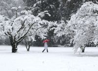 Σε ετοιμότητα ο κρατικός μηχανισμός Σε ετοιμότητα ο κρατικός μηχανισμός