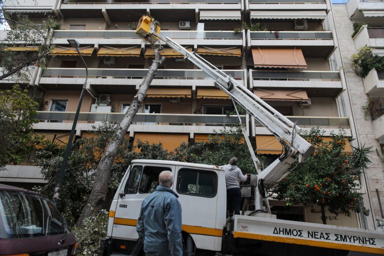 Νέα Σμύρνη: Δέντρο έπεσε σε πολυκατοικία λόγω του δυνατού αέρα.