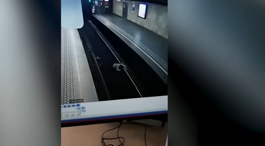 Βρυξέλλες: Βίντεο από τη στιγμή που 23χρονος ρίχνει γυναίκα στις ράγες του μετρό