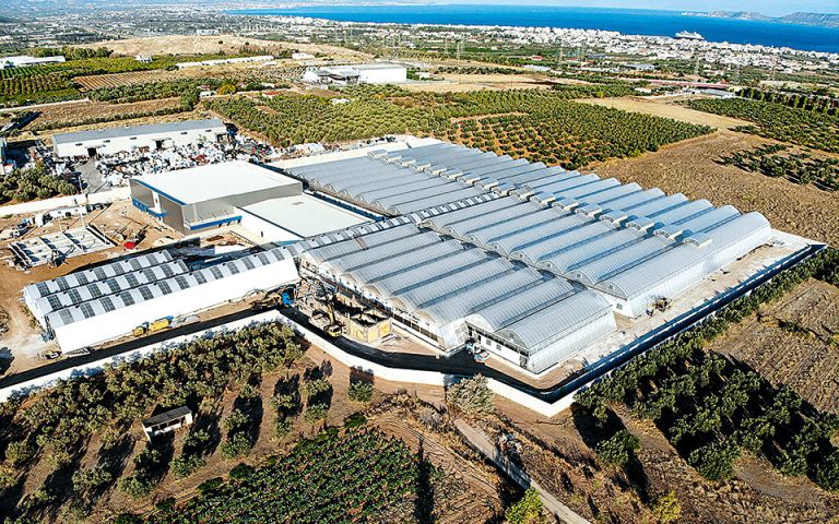 ΤΙKUN Europe: Επένδυση μαμούθ 40 εκατομμυρίων στην Ελλάδα για σκευάσματα φαρμακευτικής κάνναβης