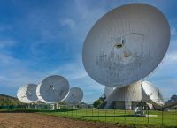 Starlink: Επίθεση απο γάτες δέχεται το δορυφορικό ίντερνετ του Μασκ