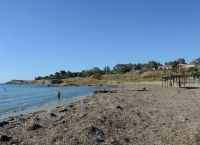 Παραλία – Βούλα: Πέταξαν σκυλί στη θάλασσα μέσα σε δεμένη σακούλα