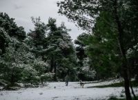 Καιρός Δευτέρα 24 Ιανουαρίου: Χιονοπτώσεις κατά τόπους πυκνές, Η θερμοκρασία θα διατηρηθεί σε χαμηλά επίπεδα