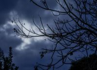 Καιρός αύριο Τρίτη 29/3: Σε όλη τη χώρα προβλέπονται νεφώσεις και στην κεντρική και νότια χώρα  βροχές
