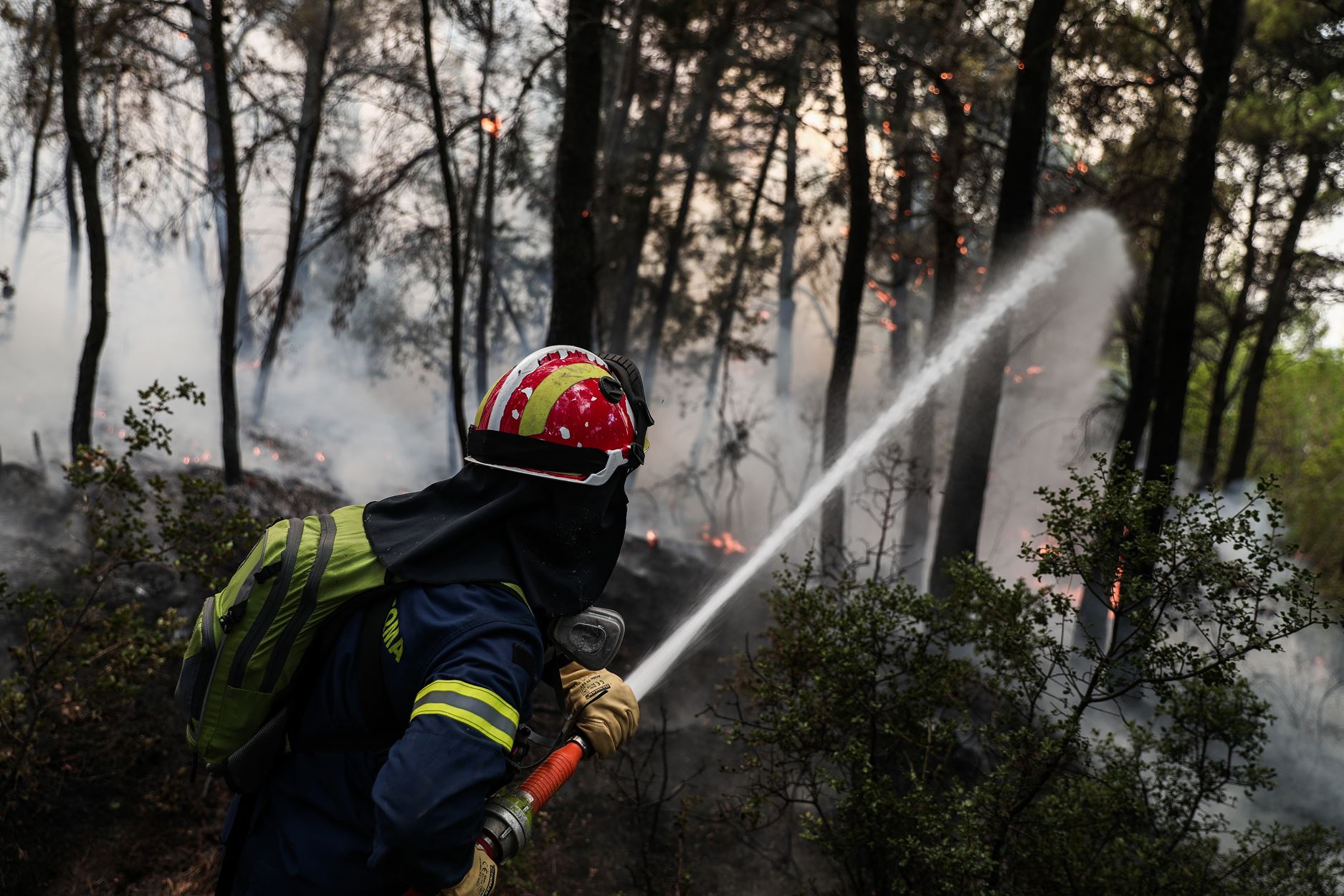 Κλιματική αλλαγή: Καμπανάκι ΟΗΕ για δραματική αύξηση των δασικών πυρκαγιών
