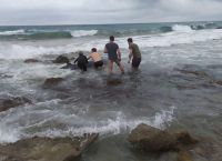 Ζιφιοί Κέρκυρα: Επιτυχής διάσωση δύο ζιφιών που εκβράστηκαν στην Κέρκυρα Ζιφιοί Κέρκυρα: Επιτυχής διάσωση δύο ζιφιών που εκβράστηκαν στην Κέρκυρα