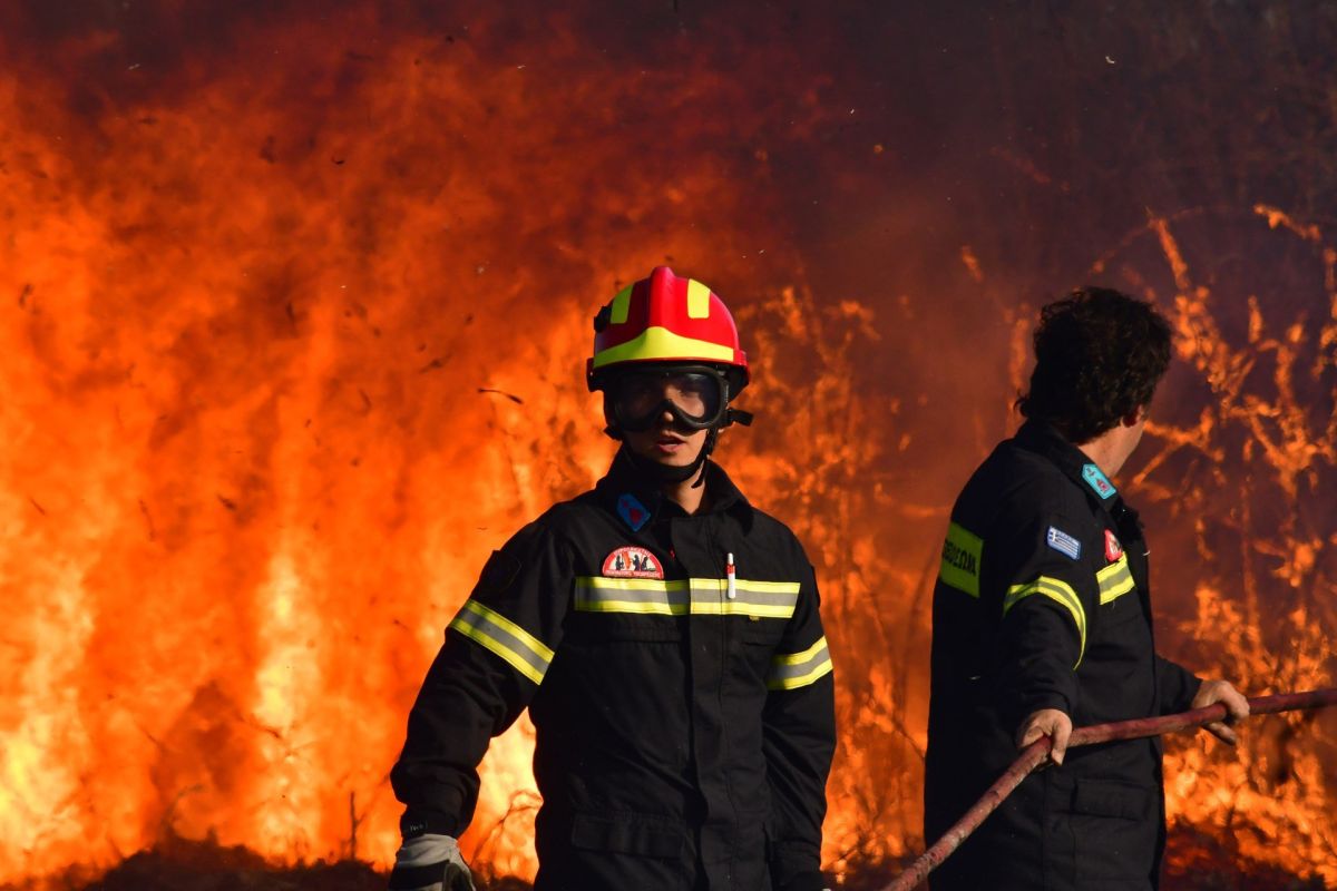 Πρόσληψη 500 δασοκομάντος για σύσταση Ειδικών Μονάδων Δασικών Επιχειρήσεων