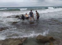 Ζιφιοί Κέρκυρα: Διακοπή των σεισμικών ερευνών ζητούν 15 περιβαλλοντικές οργανώσεις