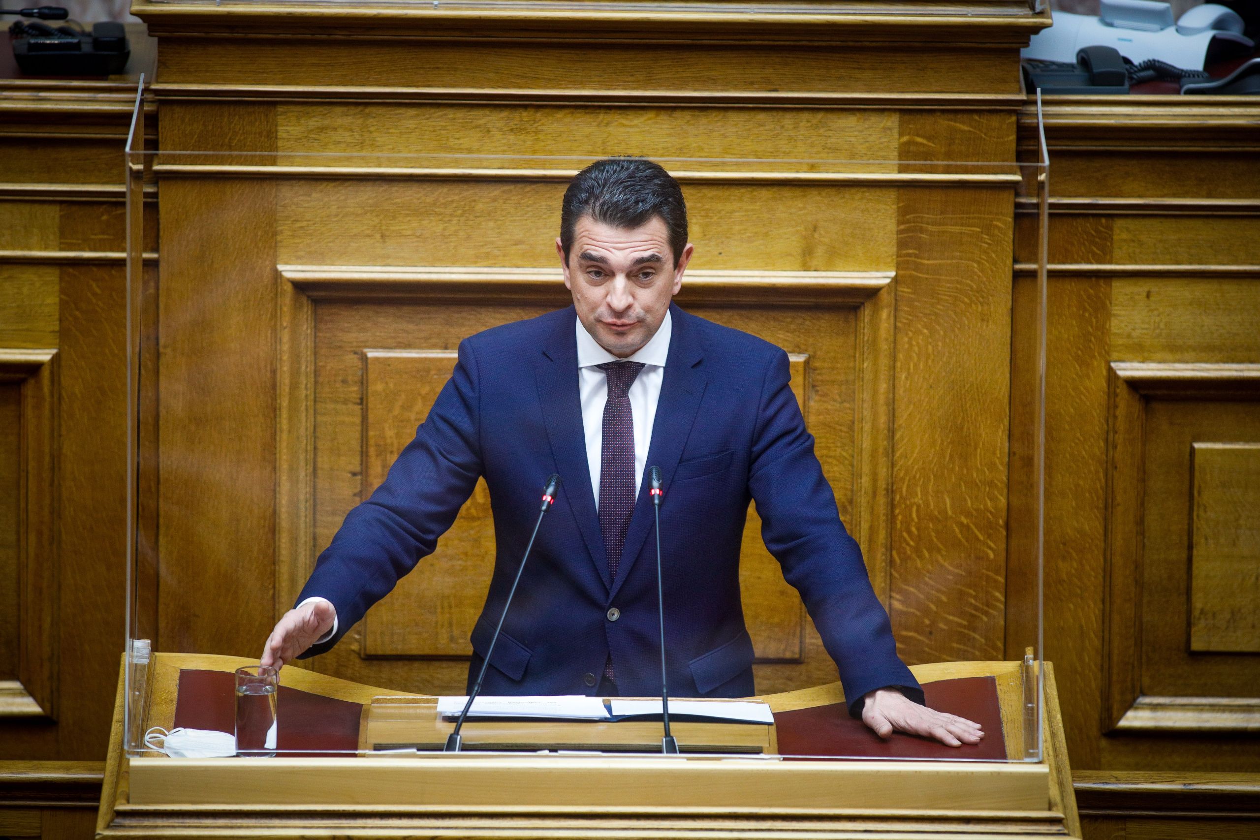 Δασωθέντες αγροί: Οι προβλέψεις της ρύθμισης