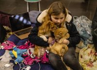 Greece sending 11 tons of pet food to the Polish-Ukrainian border