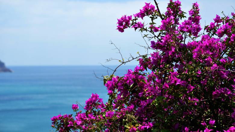 Καιρός σήμερα Σάββατο 25/6: Γενικά αίθριος