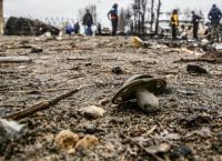 Πόλεμος στην Ουκρανία: 41 παιδιά σκοτώθηκαν από την έναρξη της εισβολής