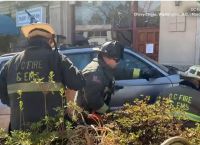 ΗΠΑ: “Εισβολή” αυτοκινήτου σε ελληνικό εστιατόριο της Ουάσινγκτον – Δυο νεκροί και 9 τραυματίες