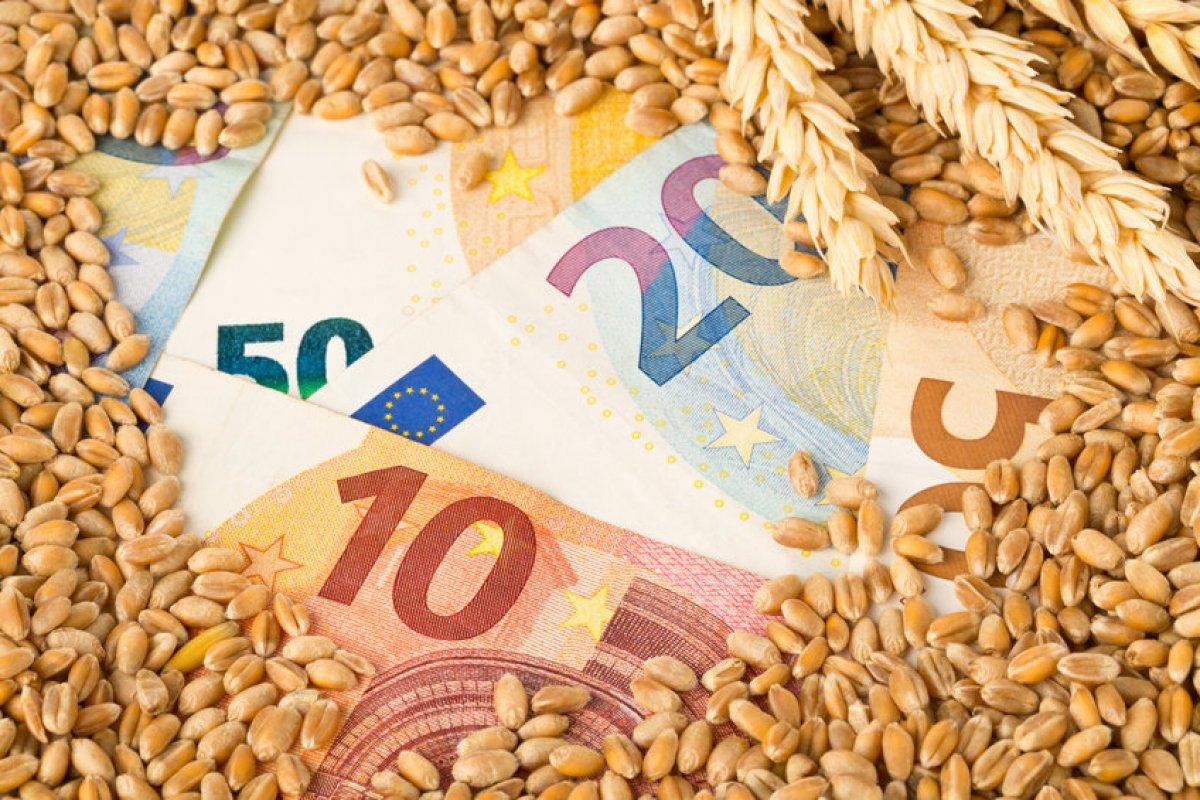 Ελλάδα εισαγωγές: Αυξήθηκαν 252% οι εισαγωγές προϊόντων της Ελλάδας από τη Ρωσία