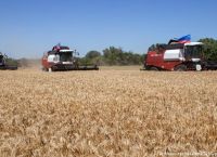Επισιτιστική κρίση: Η ανθρωπότητα μπροστά τη νέα απειλή