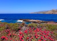 ΕΟΤ: Διοργανώνει συμπόσιο με επίκεντρο την ελληνική διατροφή και τη σύνδεση της με την φιλοξενία