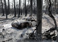 Ο όμιλος Ελληνικά Πετρέλαια κάνει αντιδιαβρωτικά έργα για την αποκατάσταση πυρόπληκτων περιοχών