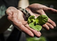 Ζελένσκι: Κίνδυνος διεθνούς επισιτιστικής κρίσης