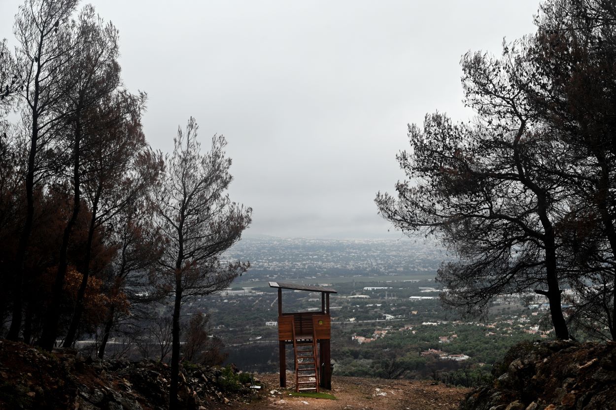 Δασικοί χάρτες: Παράταση για την υποβολή αντιρρήσεων