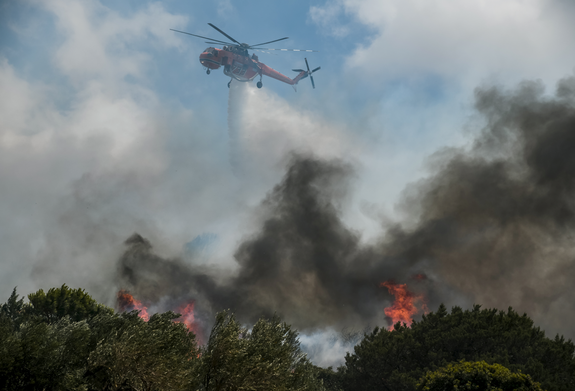 Φωτιά στην Αγνάντα Ηλείας – Μεγάλη κινητοποίηση της πυροσβεστικής