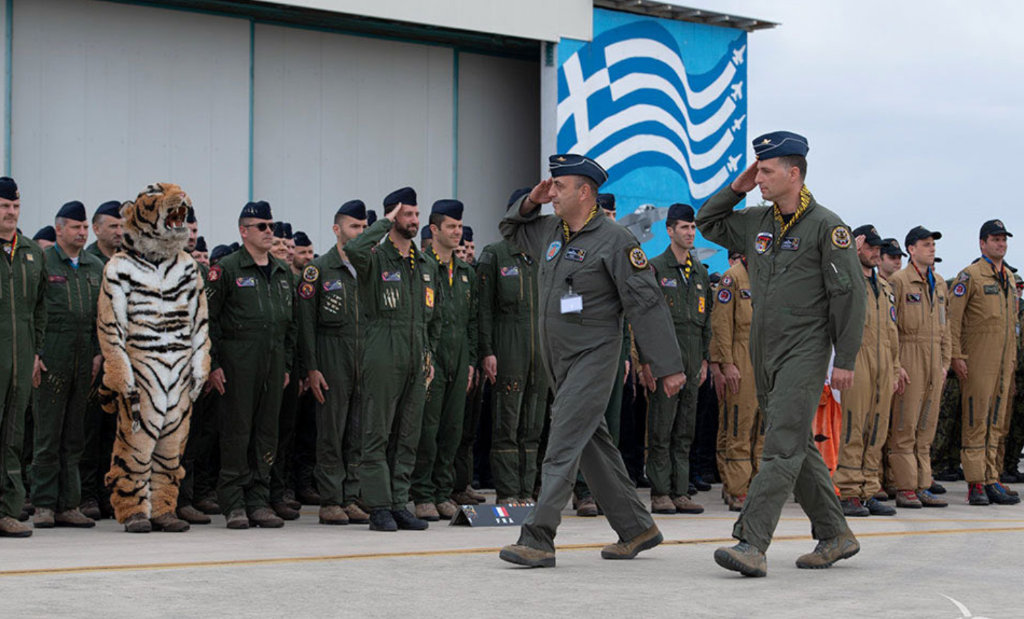 NATO Tiger Meet 2022: Viral οι τίγρεις σε άσκηση της Πολεμικής Αεροπορία