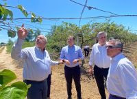 Γιώργος Στύλιος: Αποπληρωμή των αποζημιώσεων για τις ζημιές στα ακτινίδια της Άρτας Γιώργος Στύλιος: Αποπληρωμή των αποζημιώσεων για τις ζημιές στα ακτινίδια της Άρτας