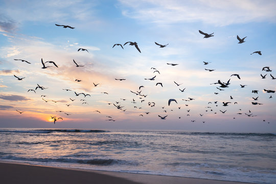 30 million migratory birds stop on the islands os Greece