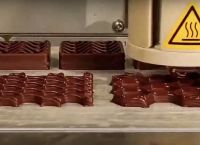 Barry Callebaut: Σαλμονέλα στο μεγαλύτερο εργοστάσιο σοκολάτας στον κόσμο