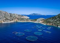 Τα προϊόντα της ελληνικής υδατοκαλλιέργειας κυριαρχούν στην διεθνή αγορά