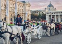 Αυστρία: Κόβουν τις βόλτες με τις άμαξες – Αυτός είναι ο λόγος Αυστρία: Κόβουν τις βόλτες με τις άμαξες – Αυτός είναι ο λόγος