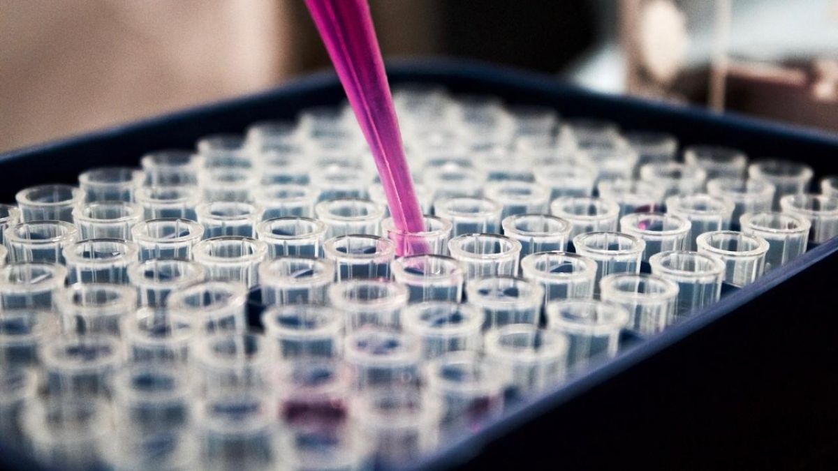 Ευλογιά των πιθήκων: Σε υποχρεωτική καραντίνα τα κρούσματα στο Βέλγιο