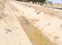 Ιράκ: Η έντονη ξηρασία καταστρέφει την παραγωγή σιταριού