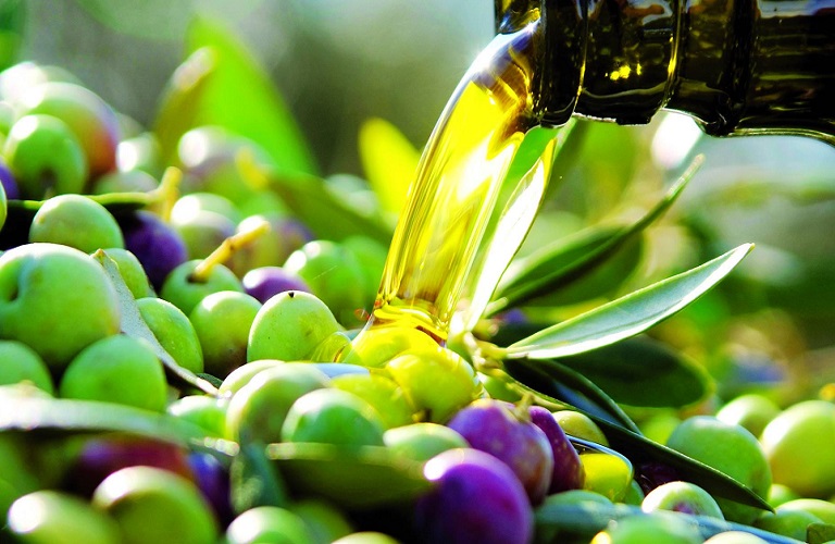 Olive Challenge 2022: Ο 3ος διαγωνισμός καινοτομίας και επιχειρηματικότητας για τον ελαιοκομικό τομέα