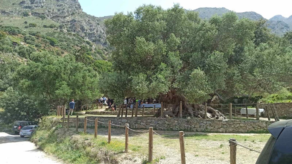 Κρήτη: Εγκαινιάστηκε το πρώτο φυσικό βοτανικό μονοπάτι