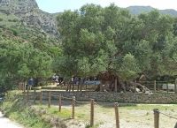 Κρήτη: Εγκαινιάστηκε το πρώτο φυσικό βοτανικό μονοπάτι