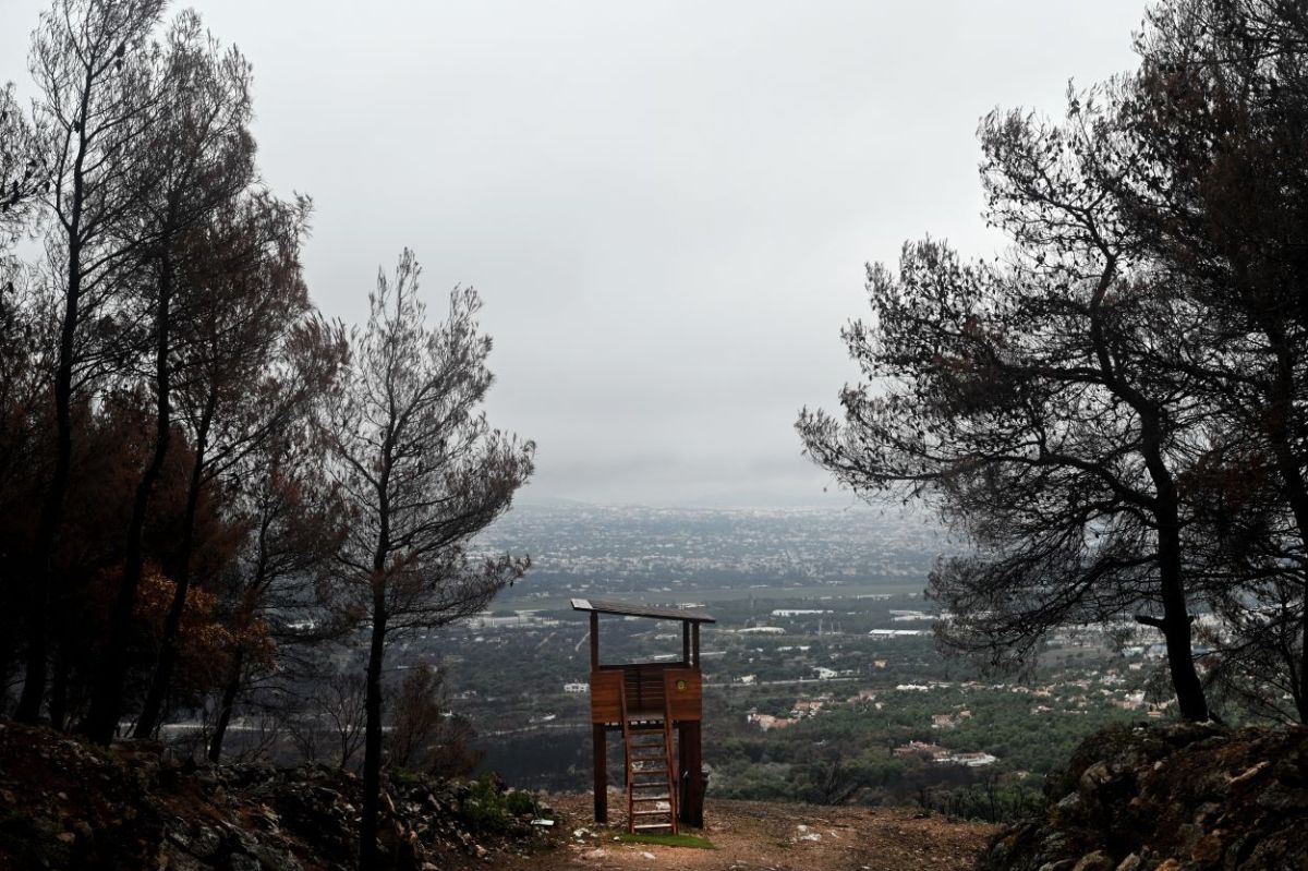 Δασικοί χάρτες: Παράταση για την υποβολή αντιρρήσεων