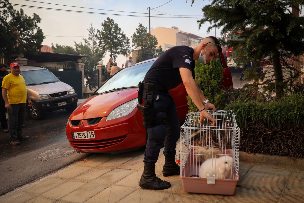 Φωτιά στη Γλυφάδα: Ποιοι δρόμοι παραμένουν κλειστοί