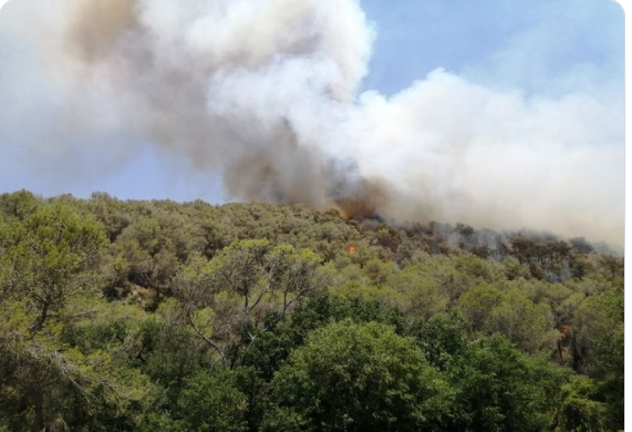 Φωτιά τώρα: Πυρκαγιά στην Σκύνδα